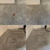 Carpet Cleaning & Upholstery Cleaning Inverness image 17